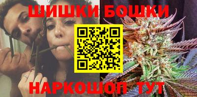 МДПВ Гатчина