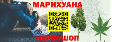 хмурый Гай