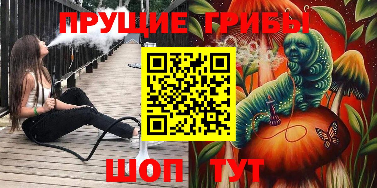 Галлюциногенные грибы Psilocybe  Вход с VPN  Новотроицк 